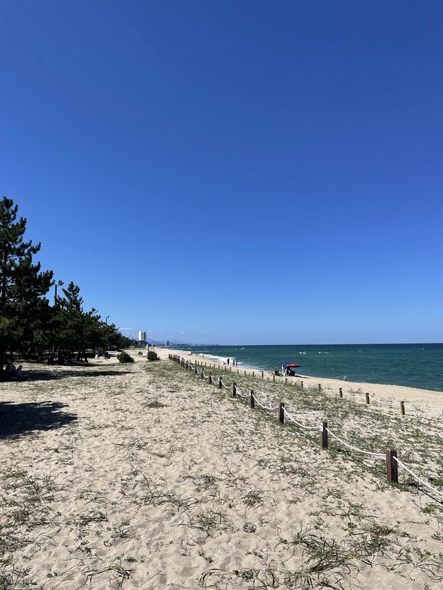 강릉 조용하고 청량한 바다 “송정해수욕장”🌊