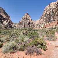 Red Rock Canyon