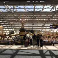 The beauty of Bangkok international airport 