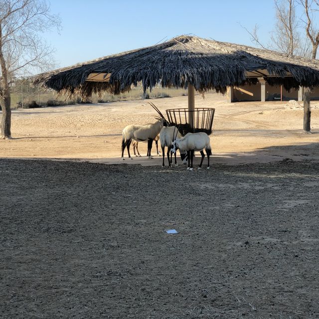 Al Areen Wildlife Park & Reserve