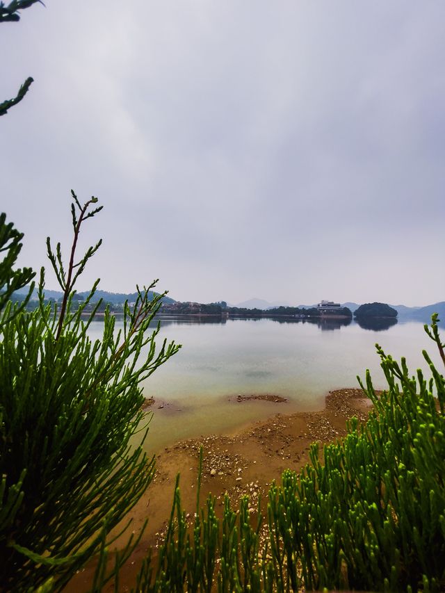 Cycling around Qingshan Lake ⛰🌿🍃