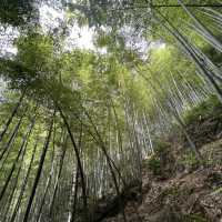 Hiking in AnJi 