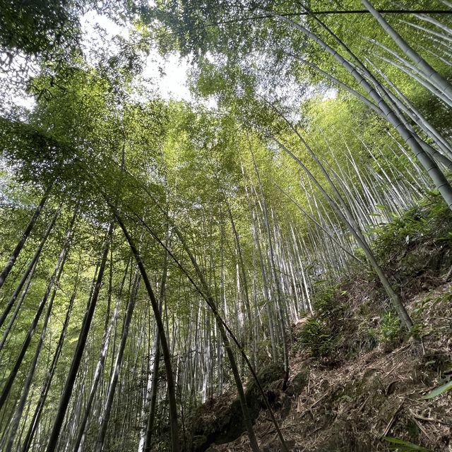 Hiking in AnJi 
