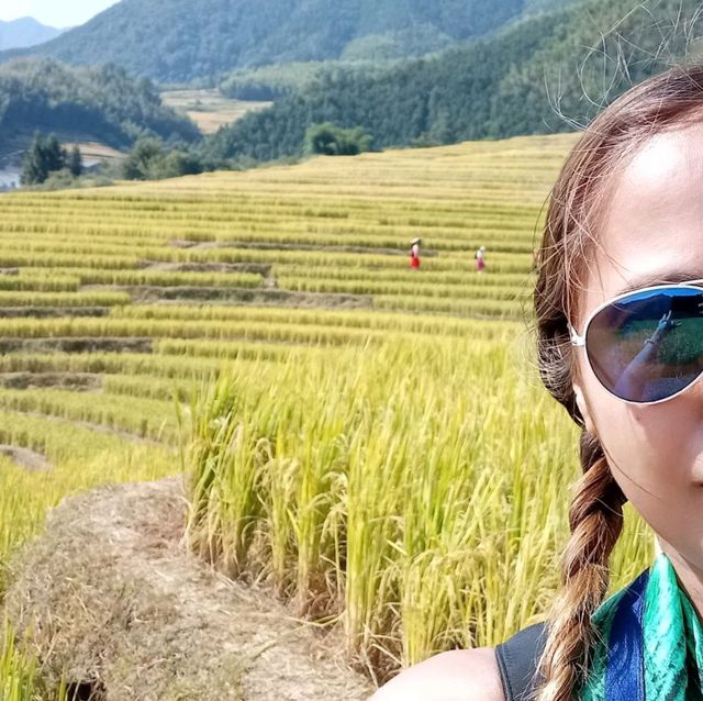 Golden Rice Terraces Oujia Village, Taibao Town, Lianshan, Yao Autonomous County, Qingyuan