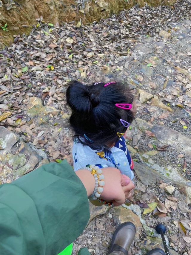 Go to the mountains and breathe in the forest | Off-the-beaten-path family hiking routes near Hangzhou