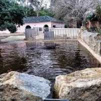 Didn't expect Portugal to have such a great zoo experience.