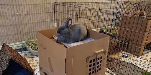 Pilates for Hikers and Bunnies | 10880 N 32nd St