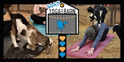 Goat Yoga in the Barn Sun Mar 3 @1pm | Patriot Acres of Lincoln County