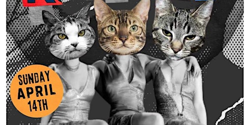 Nakita's Kittens Burlesque Show | Arroy Thai & Filipino Restaurant