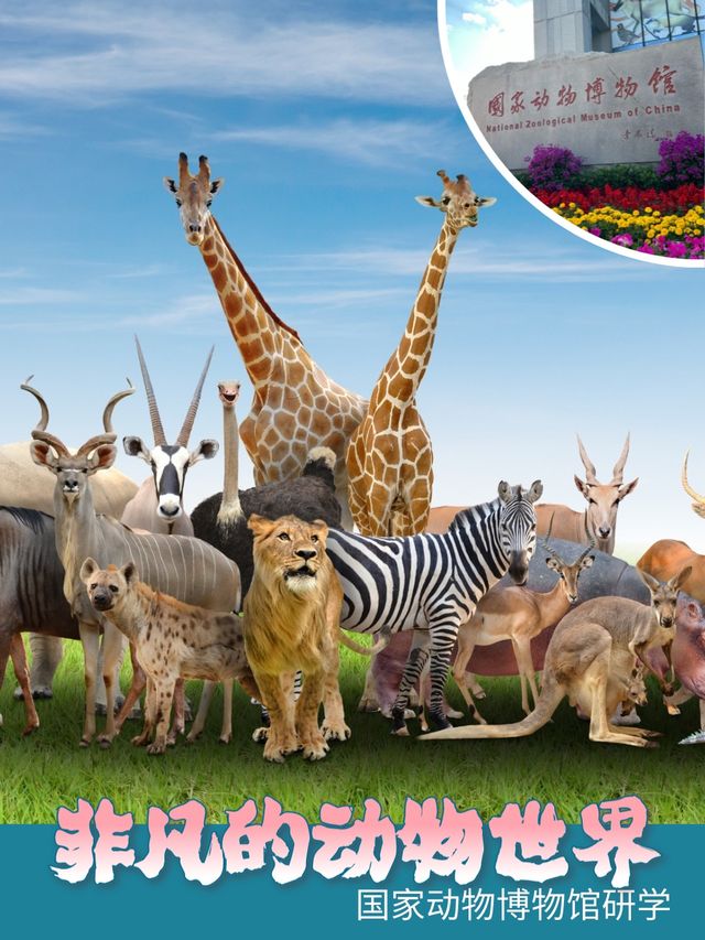 【國家動物博物館】《非凡的動物世界》— 精品研學活動|展覽休閒 | 國家動物博物館