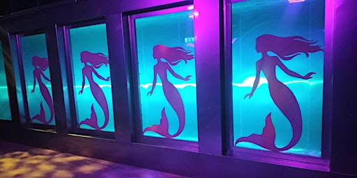 Mermazing live mermaid show | Puddenhill