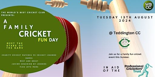 A Family Cricket Fun Day | Teddington Cricket Club