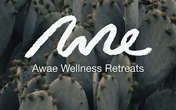 A Mindful Mini Retreat in Austin, TX | Sanctuary Yoga Austin