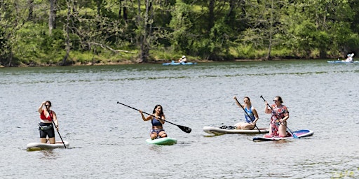 The Board Room- Paddle + Business Networking | Black Hill Regional Park