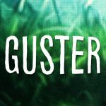 Guster Grand Rapids Concert Tour 2025｜July 23 | Frederik Meijer Gardens