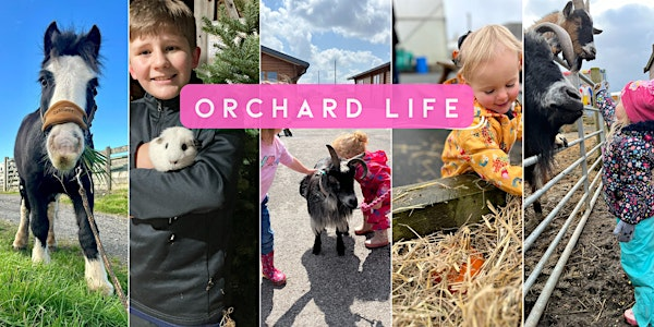 Orchard Life | My Life Legacy