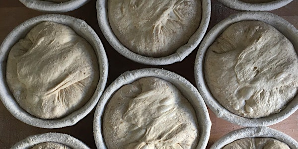 Is bread alive? | Hamblin Bread