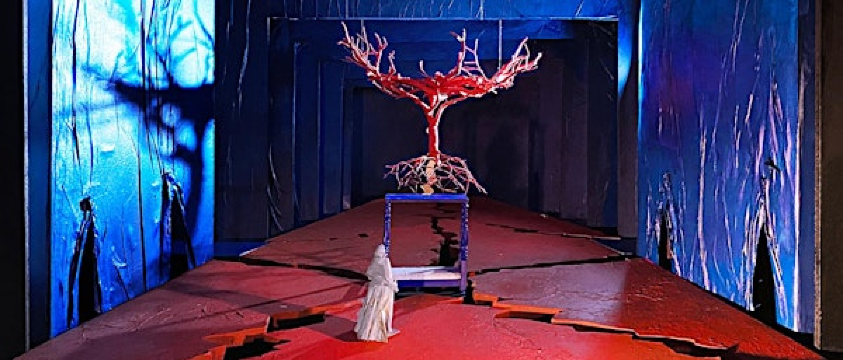 El Último Sueño de Frida y Diego - The Metropolitan Opera: Live in HD | Chasing Rabbits