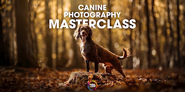 Canine Photography Masterclass with Abbie Kyte | International Convention Centre Wales