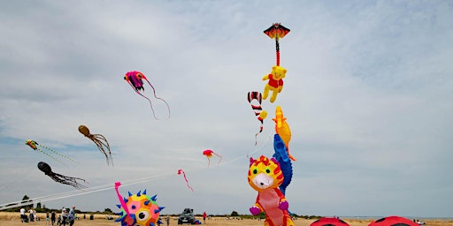 Naze Kite Weekend | The Naze Nature Discovery Centre