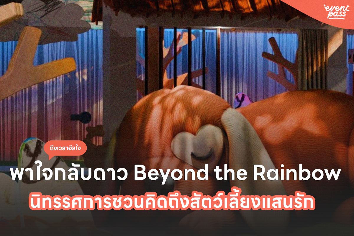 "พาใจกลับดาว Beyond the Rainbow" นิทรรศการชวนคิดถึงสัตว์เลี้ยงแสนรัก | Thailand