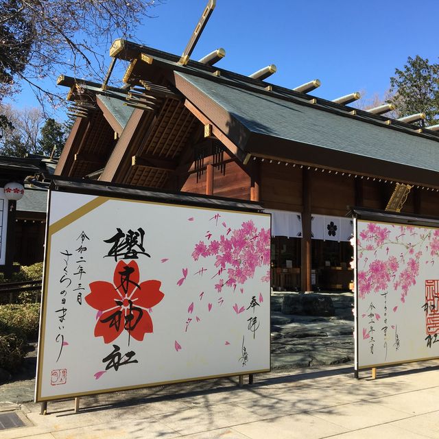 【千葉】桜の名所　櫻木神社