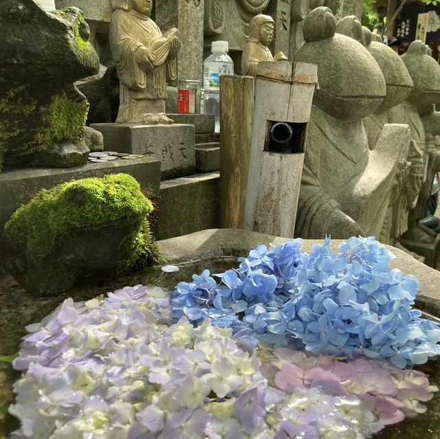 福岡県❣️かえる寺で人気のHAPPY寺！