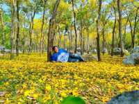 ตะเบบูย่า พุทธมณฑลสาย4