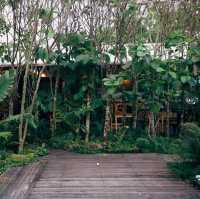 คาเฟ่บรรยากาศสวน ชวนฟิน
