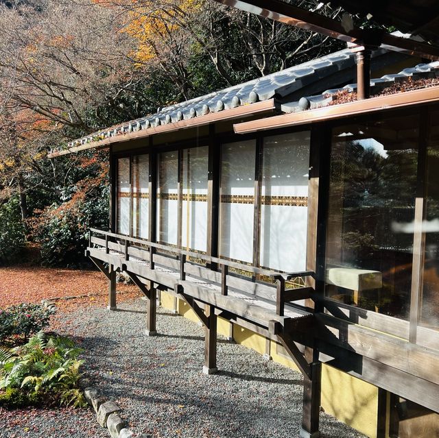 嵐山の紅葉を存分に楽しめた！