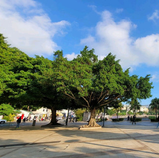 Hong Kong's best places to visit ~ Stanley Main Street