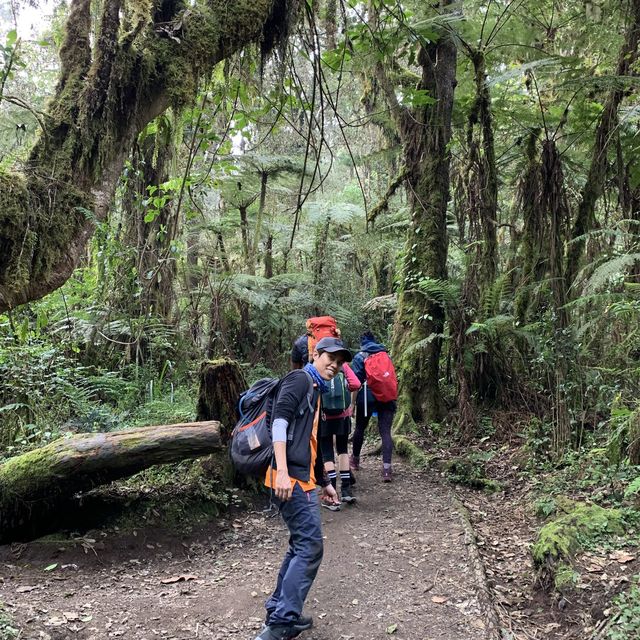 Hiking up Kilimanjaro 