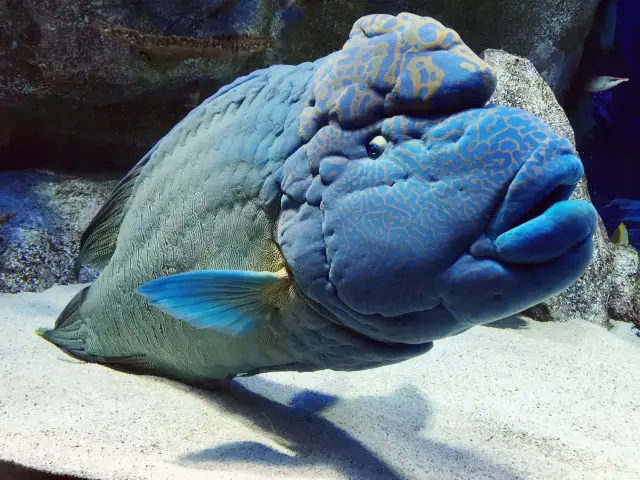 【福岡】水族館🐠マリンワールド海の中道