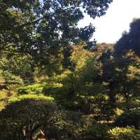 洋館と西洋庭園、日本庭園が一度に楽しめる旧古河庭園