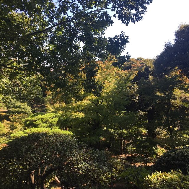 洋館と西洋庭園、日本庭園が一度に楽しめる旧古河庭園