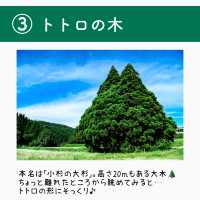 【全国】まるでジブリ映画！観光スポット6選