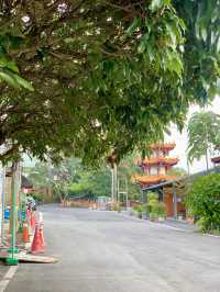 員林藤山步道｜彰化人的後花園，爬山健走的好地方！