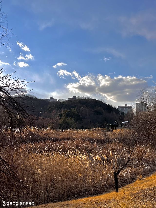 그 시절부터 첫사랑의 설레임이 가득했던 그곳, 고인돌 공원 in 오산 