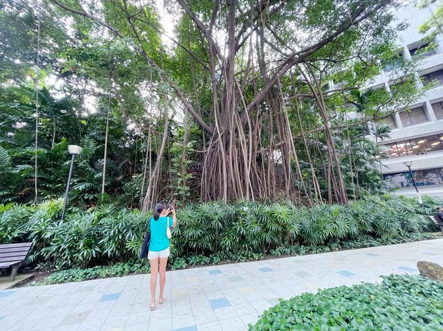 Greenery amidst the concrete jungle