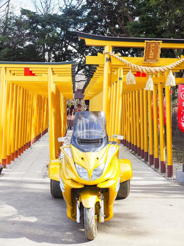 酒列磯前神社　大洗磯前神社