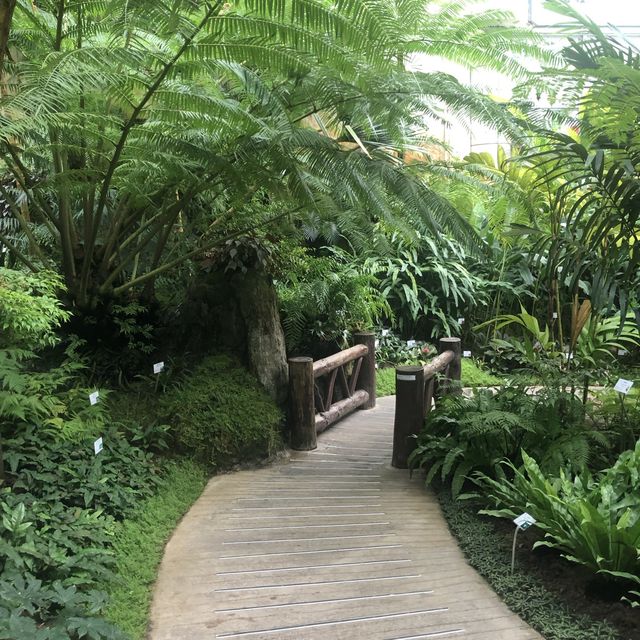 熱帶植物展覽館