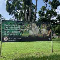 Nature hiking trail to Bukit Timah Hill