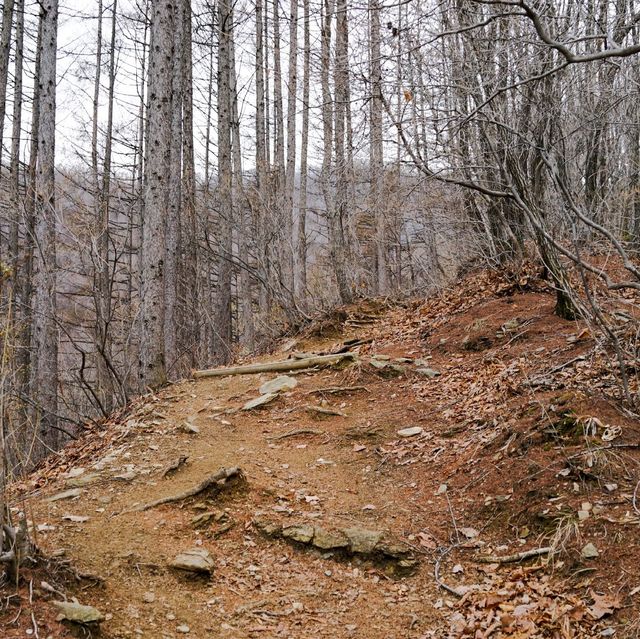 홍천 가리산 등산 