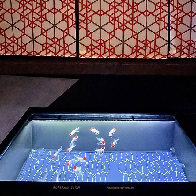 カメラ必須のすみだ水族館