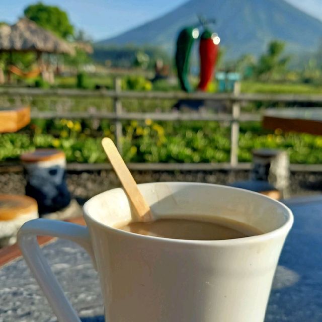 Dine with the gods at Mt. Mayon