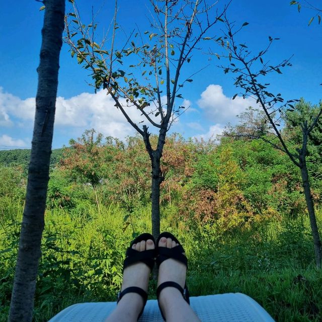 존예 파주 펜션/카페
