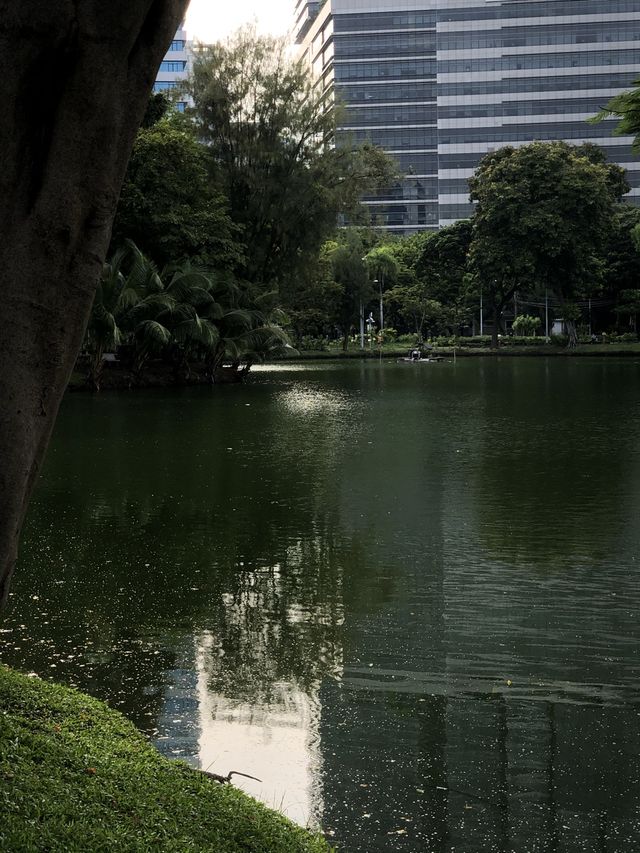 방콕 도심에서 자연을 느끼고 싶다면 ’룸피니공원‘ 🌳〰️💭