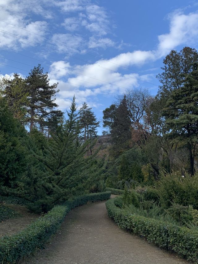 트빌리시 보타니컬 가든 🌲 조지아 피트닉 명소