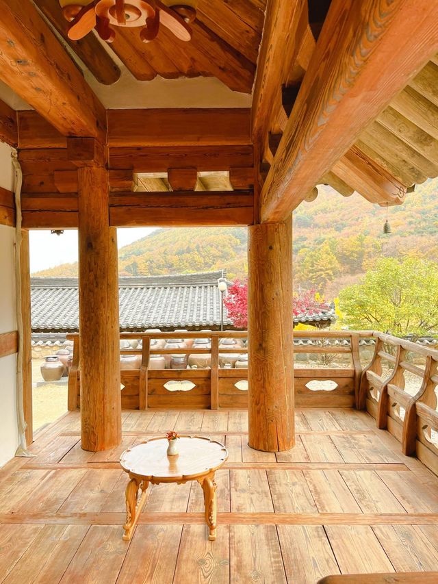 알록달록 예쁘게 물든 은행과 단풍을 볼 수 있는 울산 다담한옥🏠