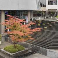 【岩手県】歴史ある赤レンガの建物と秋の紅葉を楽しむ